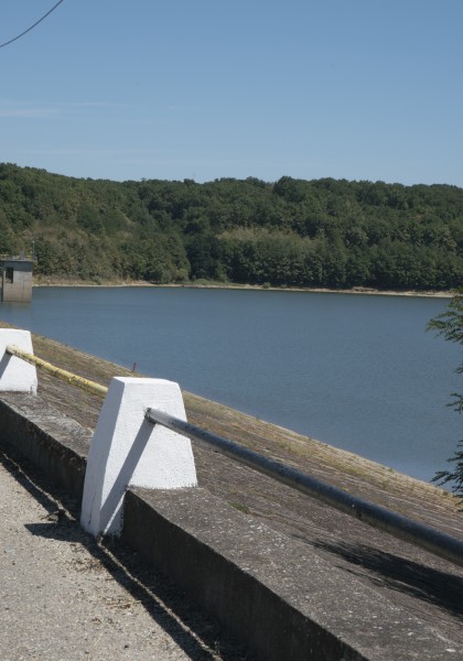 Tauț Lake